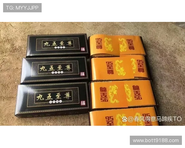 九五至尊I:尊享奢华人生的极致体验